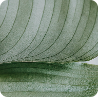 https://www.walkerchiropratique.com/wp-content/uploads/2026/04/floating_image_02.png