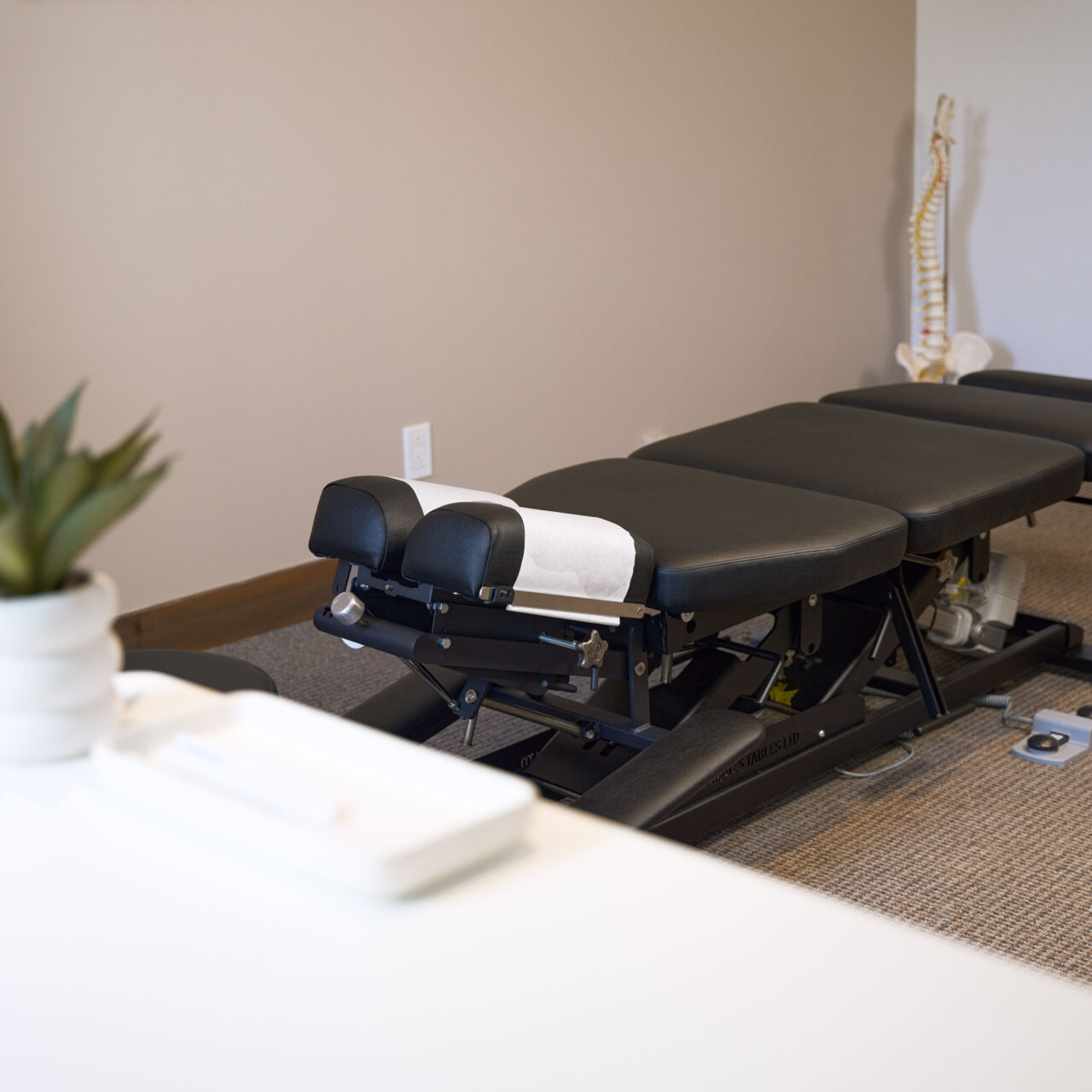 DSC00175-1 https://www.walkerchiropratique.com/wp-content/uploads/2026/08/DSC00175-1-1280x1280.jpg