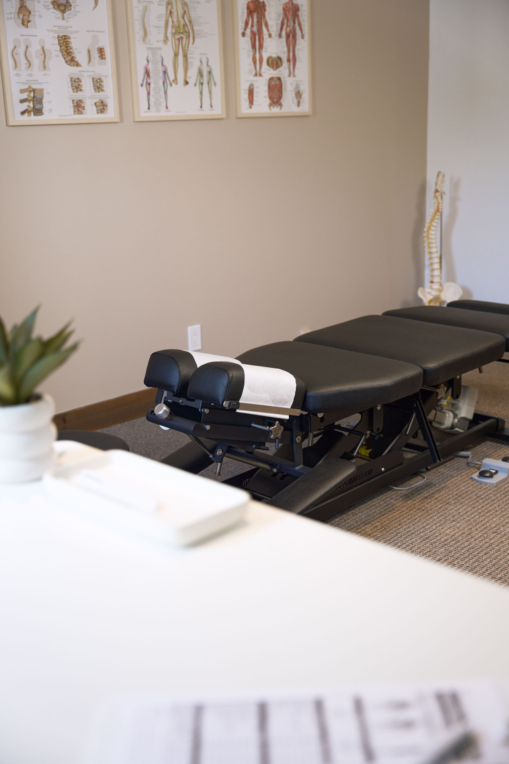 DSC00175-1 https://www.walkerchiropratique.com/wp-content/uploads/2026/08/DSC00175-1-scaled.jpg